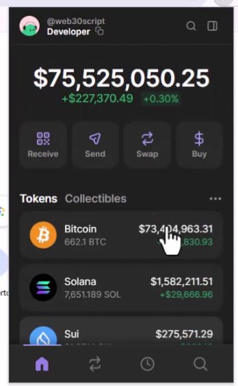 Spoof Phantom Wallet  